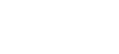 BlueDot Partners
